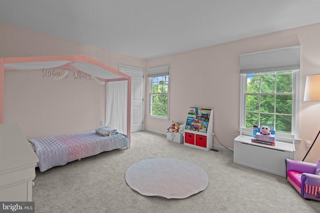 14 Leapson Ln, Doylestown, PA 18901 - view of carpeted bedroom