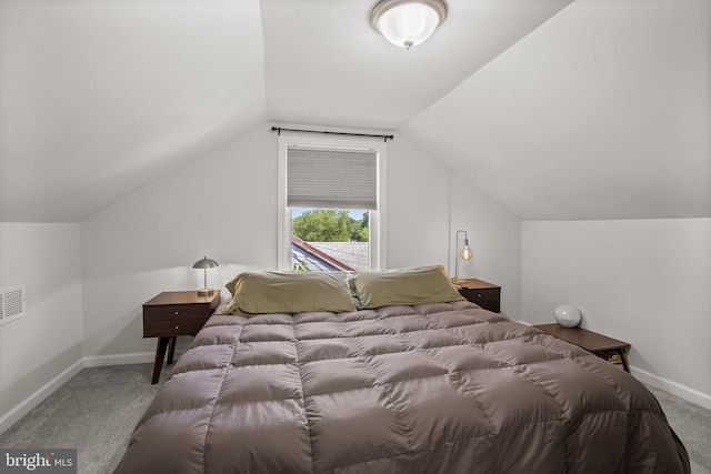 100 Carolina Ave, Cherry Hill, NJ 08003 - bedroom with carpet flooring and lofted ceiling