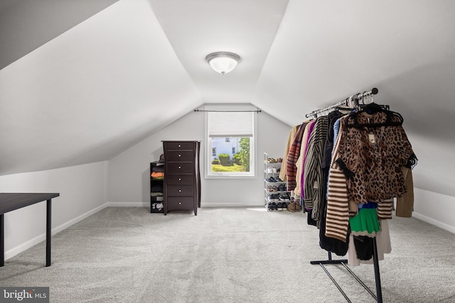 100 Carolina Ave, Cherry Hill, NJ 08003 - additional living space with carpet and lofted ceiling