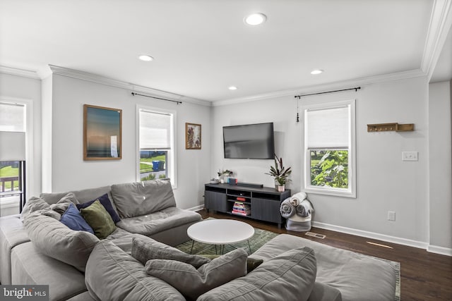 100 Carolina Ave, Cherry Hill, NJ 08003 - living area with crown molding, plenty of natural light, dark wood-style floors, and recessed lighting
