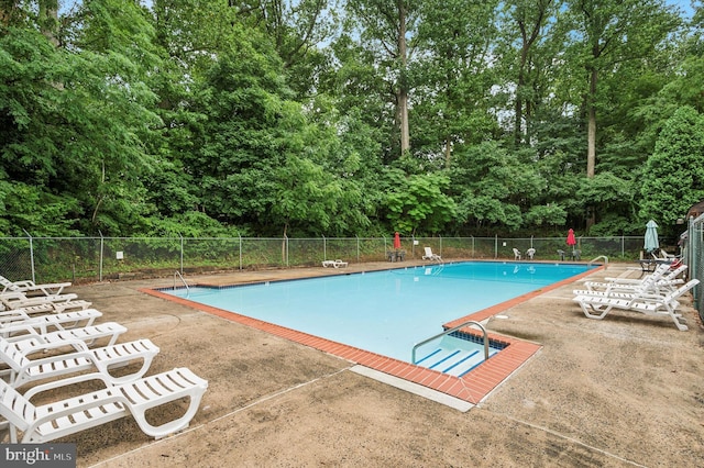 400 Glendale Rd Unit E 13, Havertown, PA 19083 - community pool with a patio area and view of wooded area