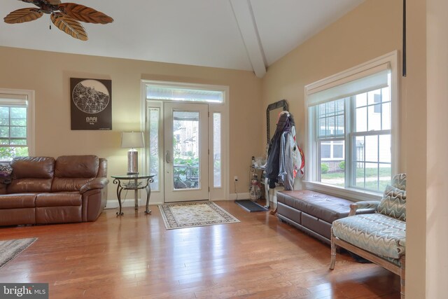 162 High Pointe Dr, Hummelstown, PA 17036 - entryway featuring healthy amount of natural light, ceiling fan, wood-type flooring, and vaulted ceiling