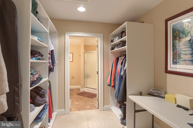 162 High Pointe Dr, Hummelstown, PA 17036 - spacious closet with light carpet