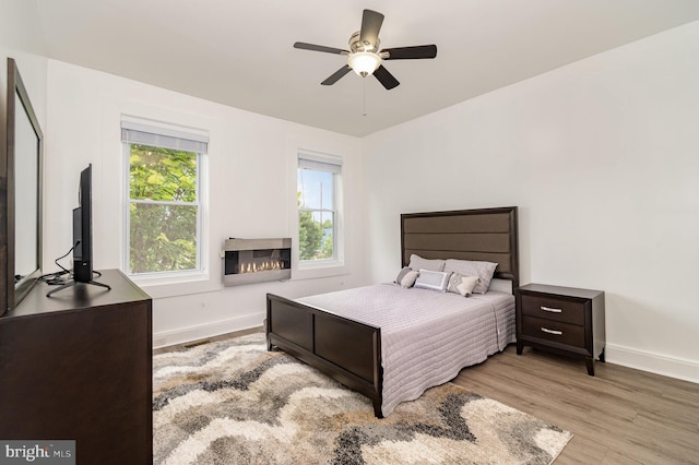 915 N Montford Ave, Baltimore, MD 21205 - bedroom with wood finished floors, a glass covered fireplace, and ceiling fan