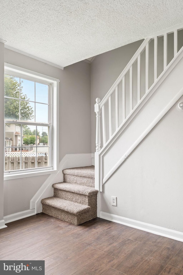 16 Richardson Ave, Linwood, PA 19061 - staircase with wood finished floors and a textured ceiling
