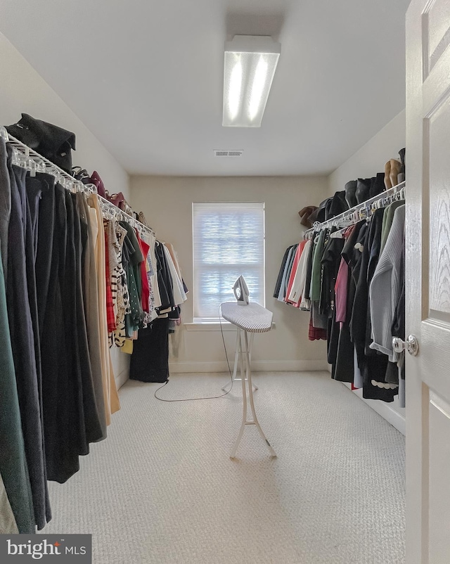 23273 Nicholson St, Hollywood, MD 20636 - spacious closet featuring carpet floors