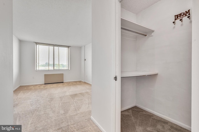 3701 S George Mason Dr Unit 611N, Falls Church, VA 22041 - spacious closet featuring carpet