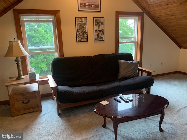 554 Locust St, Bristol, PA 19007 - living area with carpet flooring, vaulted ceiling, and wooden ceiling