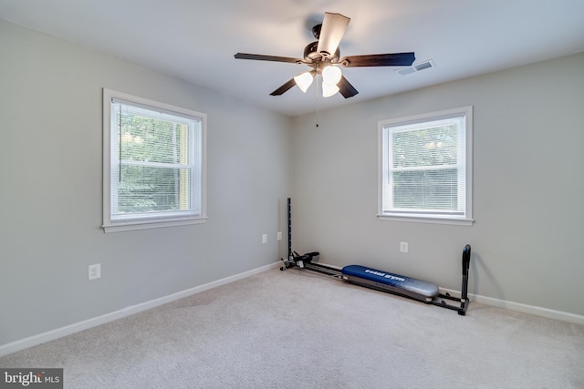 10560 S Faulkner Rd, Faulkner, MD 20632 - workout area featuring carpet flooring and ceiling fan