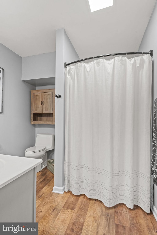 121 Westpoint Dr, Carlisle, PA 17013 - bathroom featuring wood finished floors, vanity, a skylight, and curtained shower