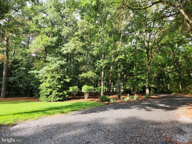 6074 Newton Rd, Preston, MD 21655 - view of street with a view of trees