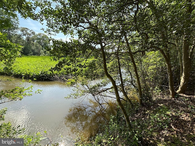 6074 Newton Rd, Preston, MD 21655 - water view