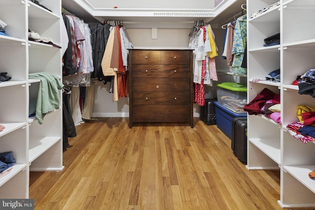 12 Stonelea Dr, Princeton Junction, NJ 08550 - walk in closet featuring wood finished floors