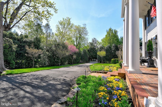 3634 Chain Bridge Rd, Fairfax, VA 22030 - view of asphalt road with view of wooded area