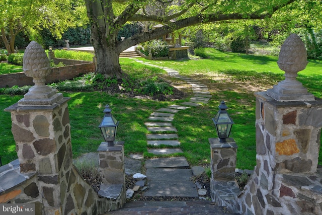 3634 Chain Bridge Rd, Fairfax, VA 22030 - view of green lawn
