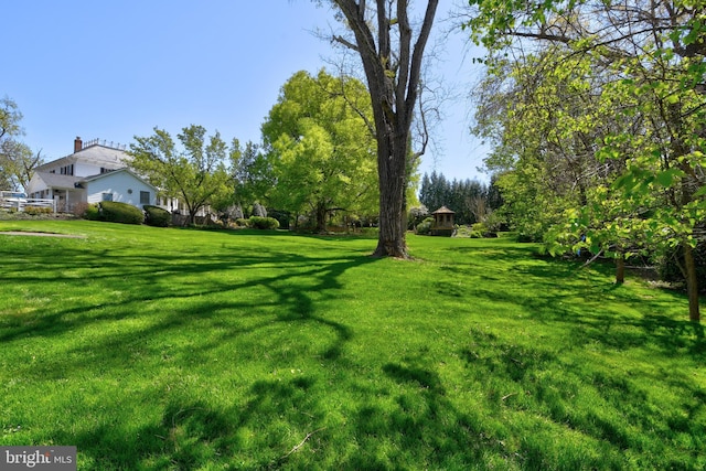 3634 Chain Bridge Rd, Fairfax, VA 22030 - view of green lawn