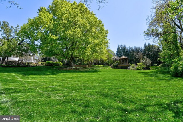 3634 Chain Bridge Rd, Fairfax, VA 22030 - view of grassy yard featuring view of scattered trees