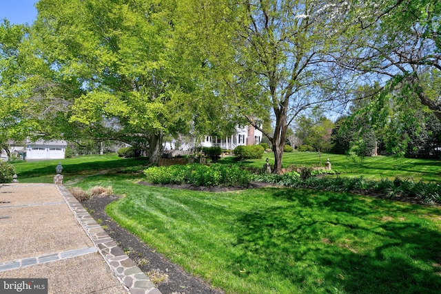 3634 Chain Bridge Rd, Fairfax, VA 22030 - view of green lawn