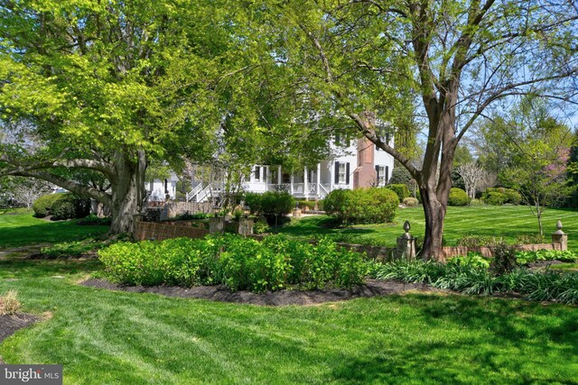 3634 Chain Bridge Rd, Fairfax, VA 22030 - view of green lawn