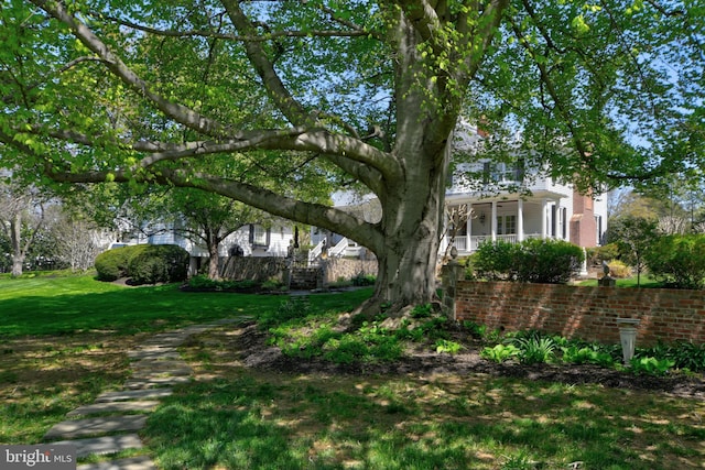3634 Chain Bridge Rd, Fairfax, VA 22030 - view of green lawn