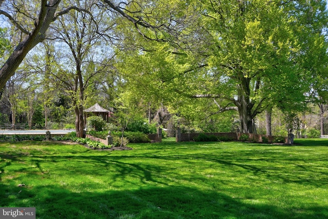 3634 Chain Bridge Rd, Fairfax, VA 22030 - view of grassy yard