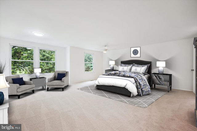 24 Whitechurch Ct, Germantown, MD 20874 - carpeted bedroom with a ceiling fan