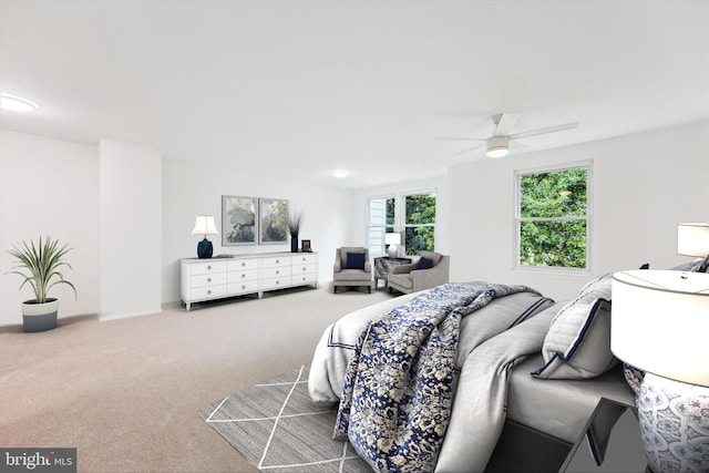 24 Whitechurch Ct, Germantown, MD 20874 - view of carpeted bedroom