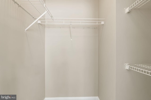 1324 W Chester Pike Unit 105, West Chester, PA 19382 - view of walk in closet