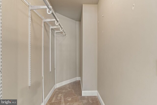 1324 W Chester Pike Unit 105, West Chester, PA 19382 - walk in closet with carpet flooring