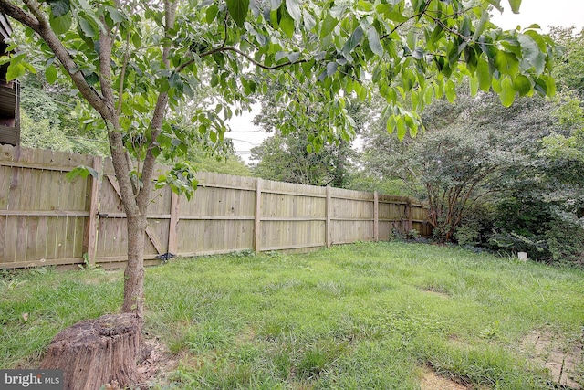 638 Los Alamos Ln, Lusby, MD 20657 - view of yard