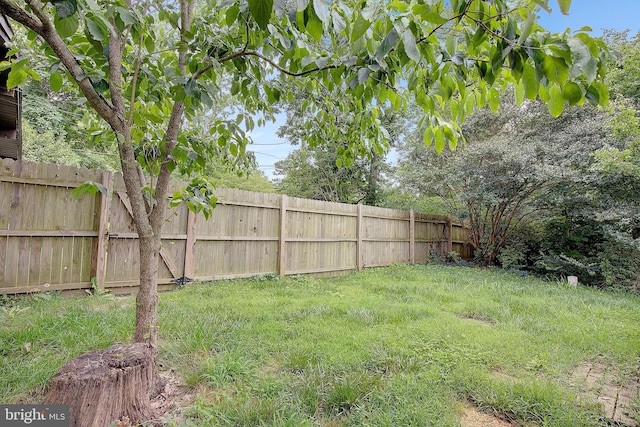 638 Los Alamos Ln, Lusby, MD 20657 - view of yard