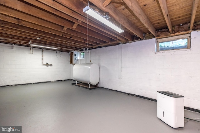 559 Maple Ave, Doylestown, PA 18901 - below grade area with oil tank
