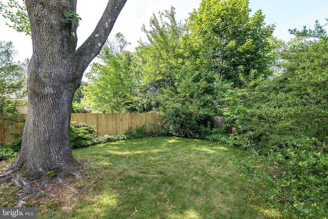 559 Maple Ave, Doylestown, PA 18901 - view of fenced backyard