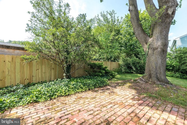 559 Maple Ave, Doylestown, PA 18901 - view of patio