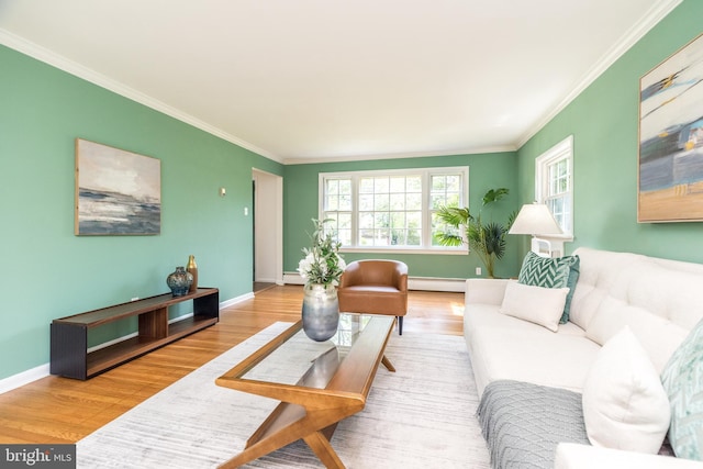 559 Maple Ave, Doylestown, PA 18901 - living area with wood finished floors, ornamental molding, and a baseboard heating unit