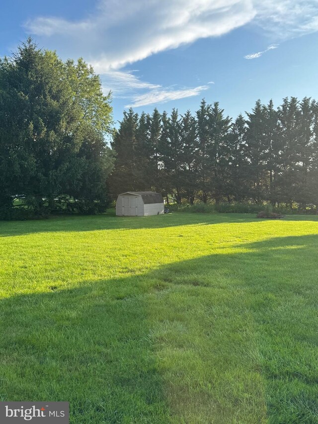 1872 Yingling Dr, Spring Grove, PA 17362 - view of grassy yard featuring a shed