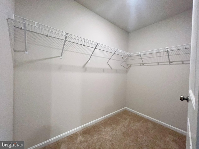 22189 Shorebird Way, Millsboro, DE 19966 - spacious closet with carpet floors