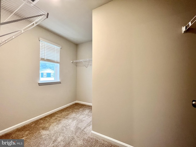 22189 Shorebird Way, Millsboro, DE 19966 - walk in closet with carpet