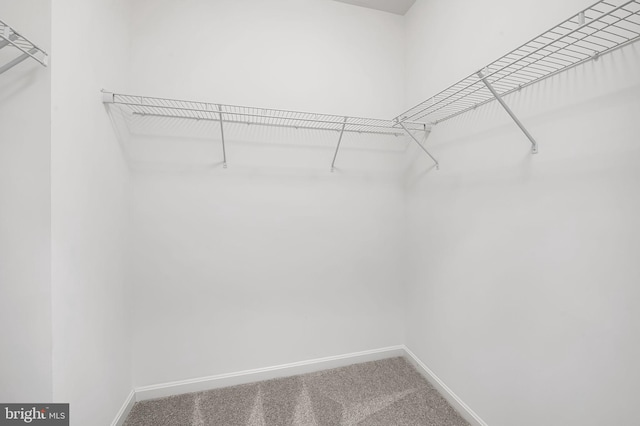 625 Quarry View Ct Unit 208, Reisterstown, MD 21136 - walk in closet with carpet flooring