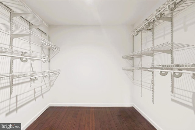 5901 Euclid, Cheverly, MD 20785 - spacious closet with hardwood / wood-style floors