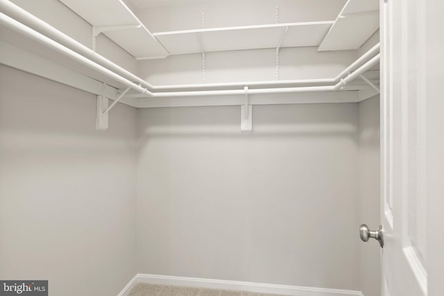 13619 Flintwood Pl, Herndon, VA 20171 - walk in closet featuring carpet