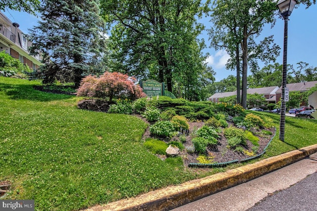349 Homeland Southway Unit 1A, Baltimore, MD 21212 - view of grassy yard