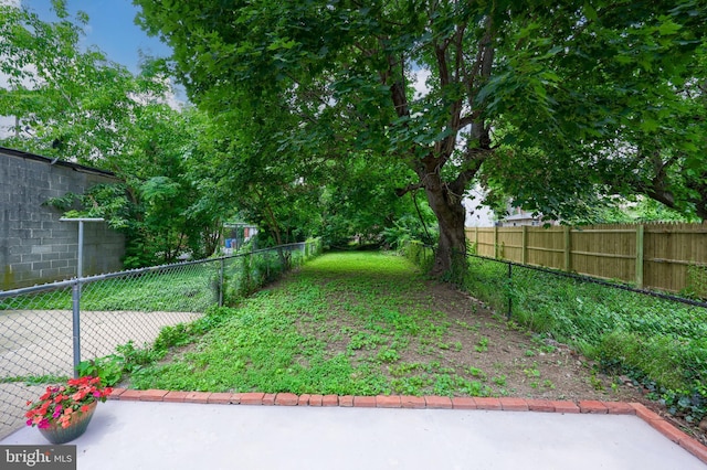68 Locust St, Lancaster, PA 17602 - view of fenced backyard