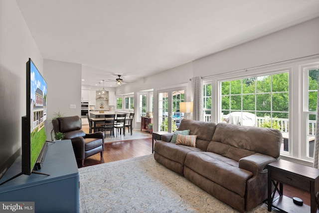 10207 Daylily Ct, Manassas, VA 20110 - living area with wood finished floors, plenty of natural light, and ceiling fan