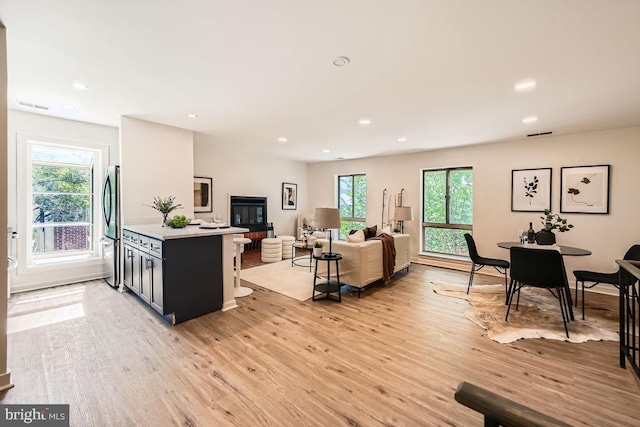 108 W Barre St Unit R 48, Baltimore, MD 21201 - living room with light wood-type flooring and recessed lighting