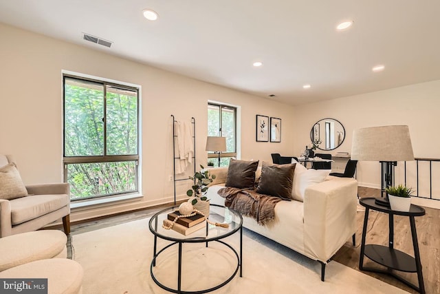 108 W Barre St Unit R 48, Baltimore, MD 21201 - living room featuring wood finished floors, recessed lighting, and plenty of natural light