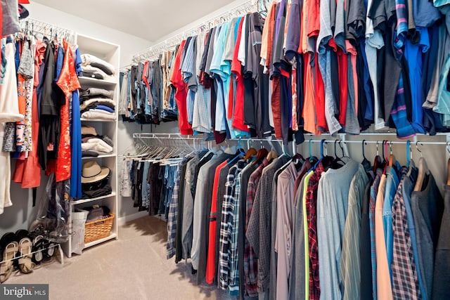 5696 Liberty Manor Cir, Woodbridge, VA 22193 - spacious closet featuring carpet flooring