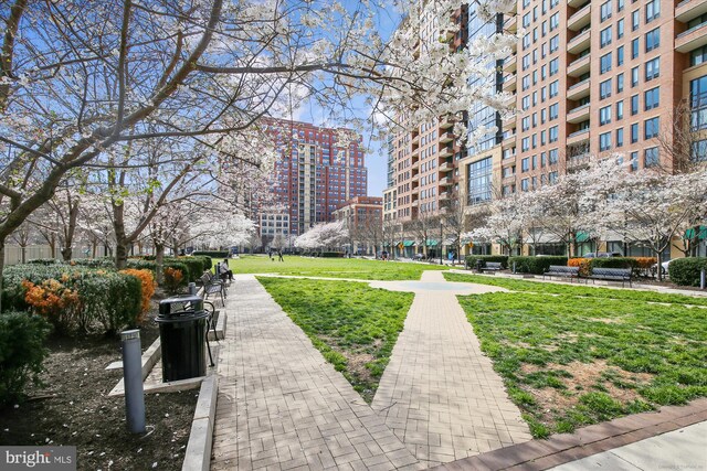 1200 Crystal Dr Unit 514, Arlington, VA 22202 - view of home's community featuring a lawn