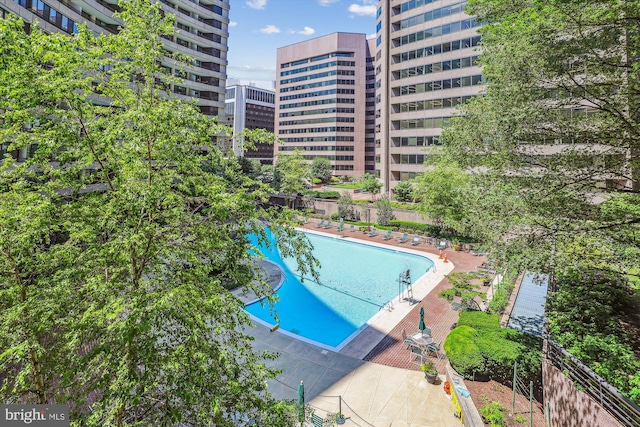 1200 Crystal Dr Unit 514, Arlington, VA 22202 - view of community pool