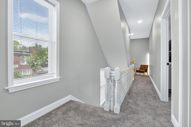 30 Race Ave, Lancaster, PA 17603 - corridor featuring carpet floors and plenty of natural light
